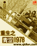 重生之青澀1978