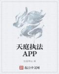 天庭執法APP